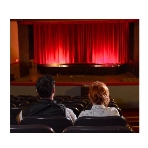 go to the movies in verbal behavior  category